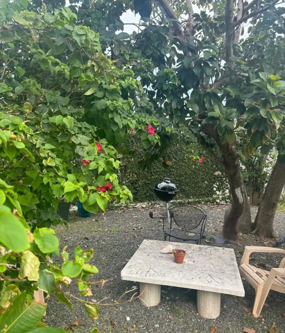 Apartment Bucare Studio - Beach Bliss: Isla Verde Gem San Juan